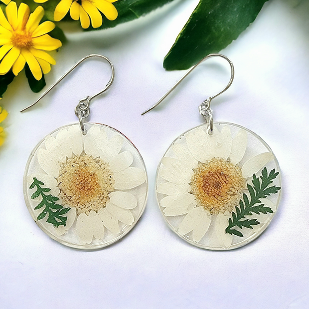 Real Flowers Resin Circle Drop Earrings | White Daisy